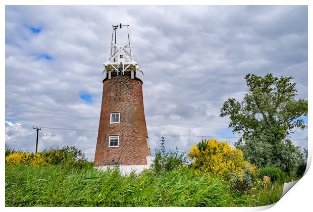 Martham Mill holiday let Print by Chris Yaxley