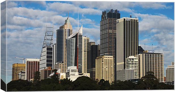 Sydney Skyline Canvas Print by peter tachauer