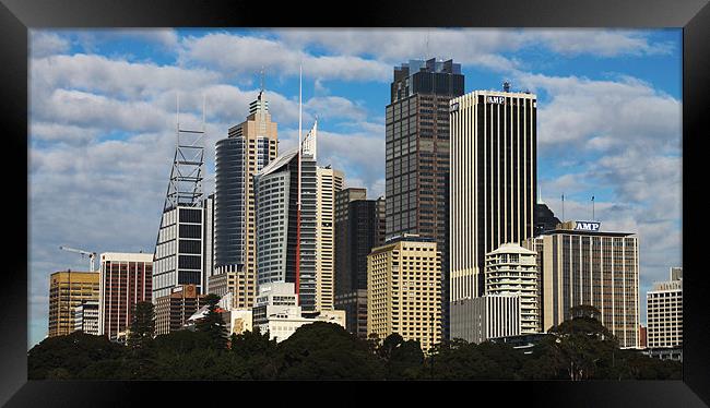 Sydney Skyline Framed Print by peter tachauer