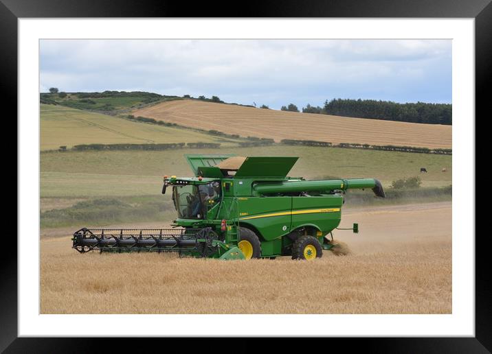 Harvest 2020 Northumberland  Framed Mounted Print by Alan Barnes