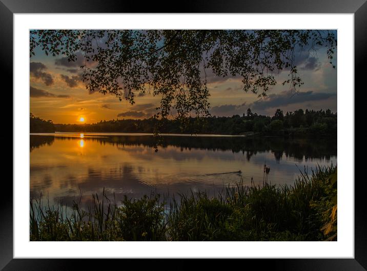 Virginia Water Sunset Framed Mounted Print by Dave Williams