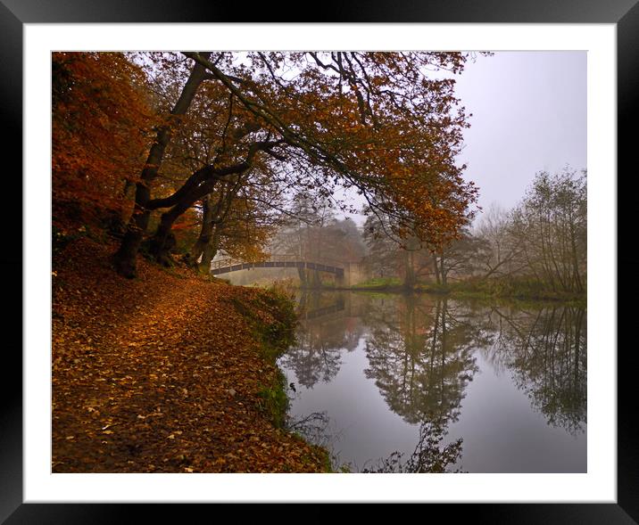 Autumn morning o the River Wey Framed Mounted Print by Dave Williams