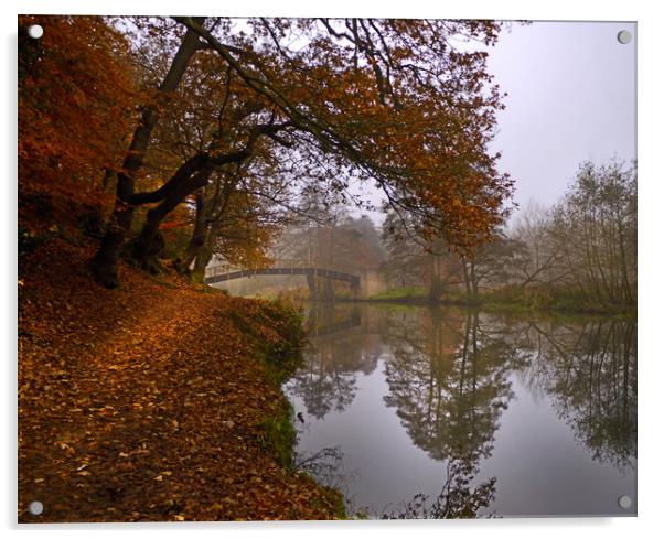 Autumn morning o the River Wey Acrylic by Dave Williams