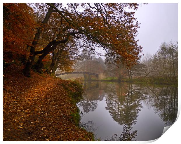 Autumn morning o the River Wey Print by Dave Williams