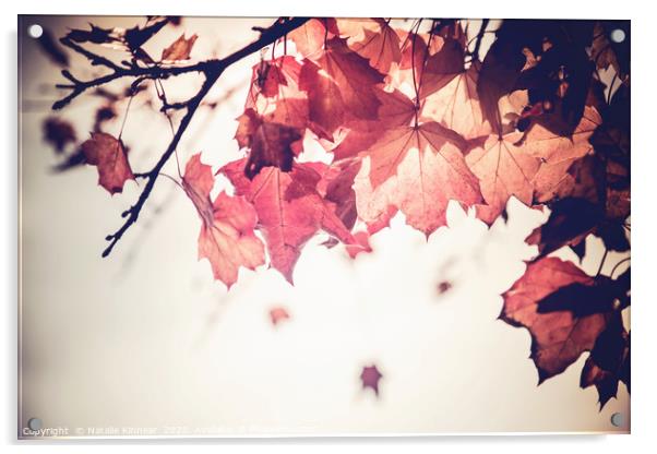 Autumn Leaves  Acrylic by Natalie Kinnear