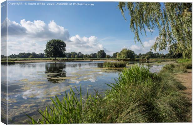 Summer scene at Bushy Park Canvas Print by Kevin White