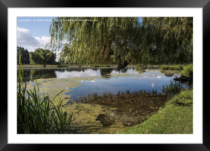 Ponds at Bushy Park Framed Mounted Print by Kevin White