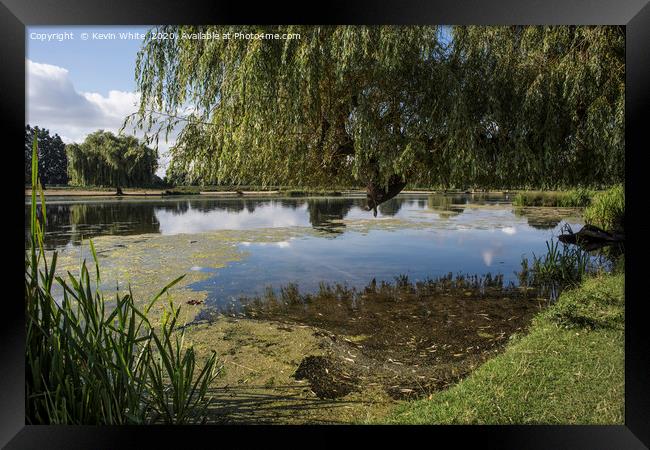 Ponds at Bushy Park Framed Print by Kevin White