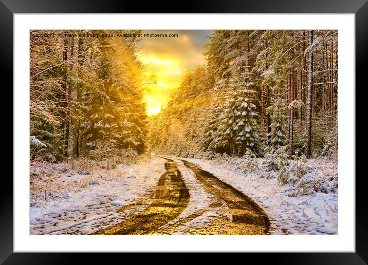 Winter Sunset in Forest Framed Mounted Print by Taina Sohlman