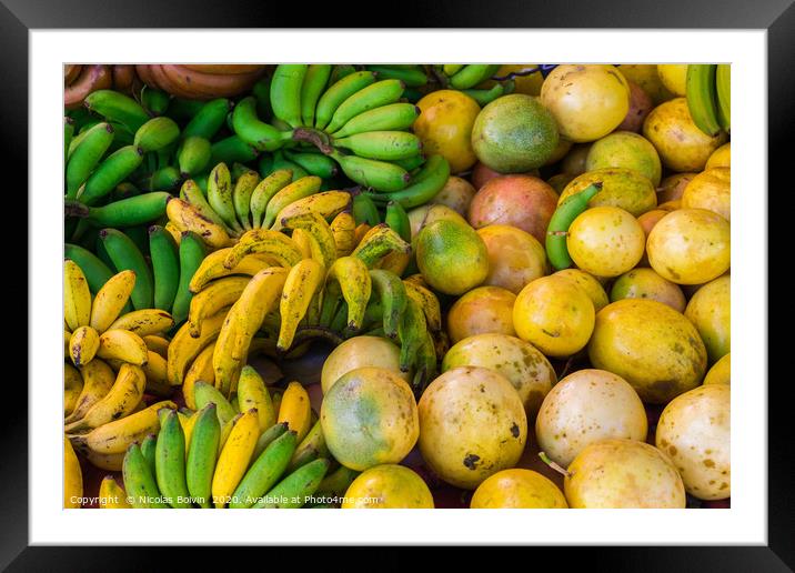 Fresh exotic fruits from Sainte-Anne local market Framed Mounted Print by Nicolas Boivin
