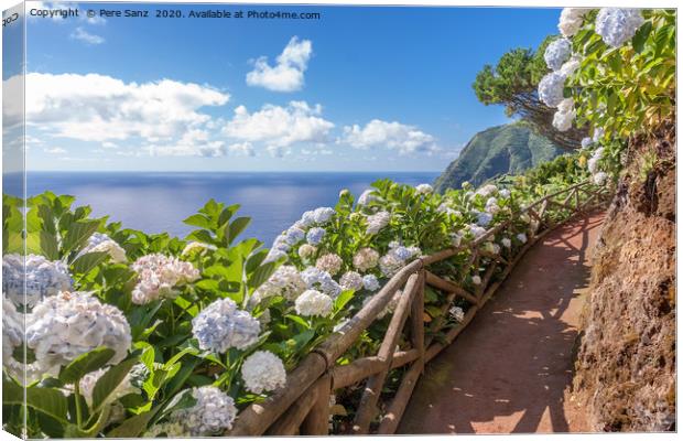 Coastal path with hortensia in Sao Miguel, Azores  Canvas Print by Pere Sanz