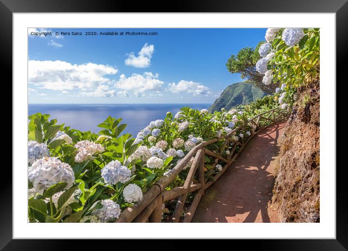Coastal path with hortensia in Sao Miguel, Azores  Framed Mounted Print by Pere Sanz