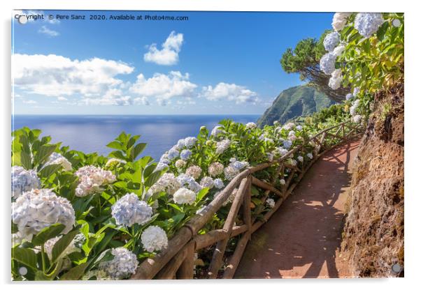 Coastal path with hortensia in Sao Miguel, Azores  Acrylic by Pere Sanz