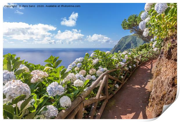 Coastal path with hortensia in Sao Miguel, Azores  Print by Pere Sanz
