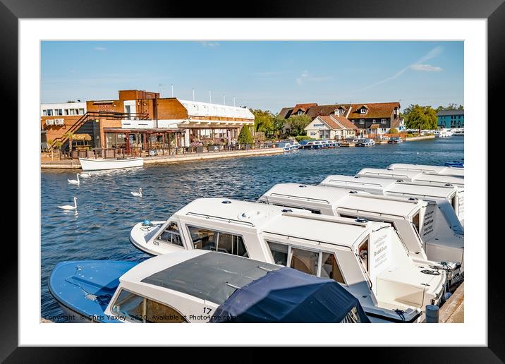 On the bank on the River Bure in Wroxham, Norfolk Framed Mounted Print by Chris Yaxley