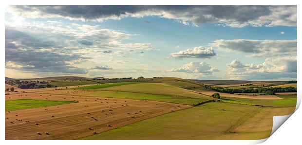 Evening Sun over Blackpatch Hill Print by Malcolm McHugh