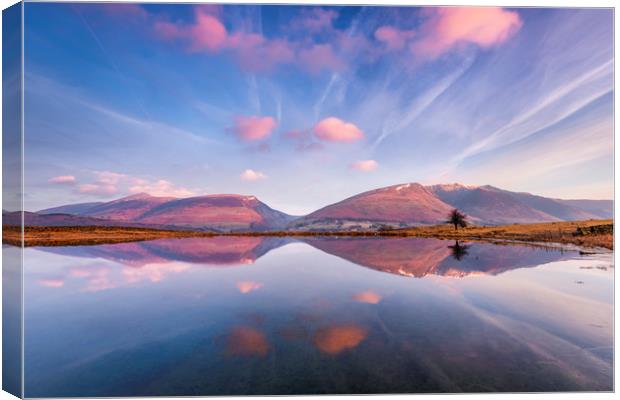 Blencathra reflecting in Tewit Tarn at sunrise Canvas Print by John Finney