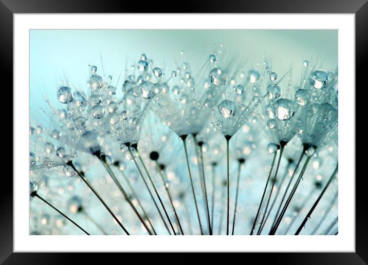 Blue Water Droplets Framed Mounted Print by Anthony Michael 