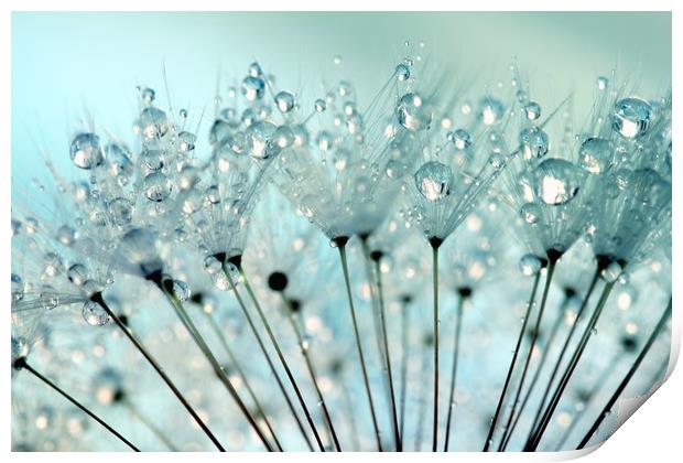 Blue Water Droplets Print by Anthony Michael 
