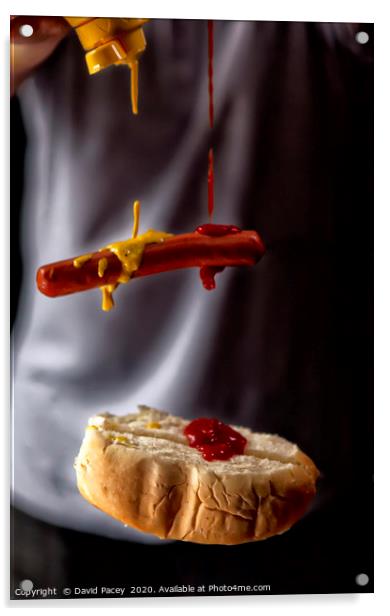 Hot Dog Acrylic by David Pacey