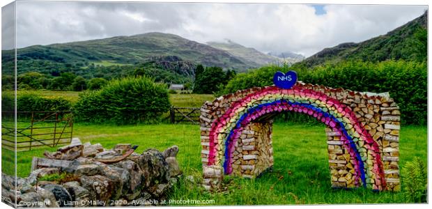 Rainbow Logs for the NHS at Beddgellert Canvas Print by Liam Neon