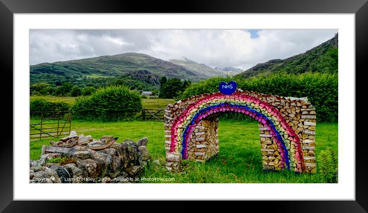 Rainbow Logs for the NHS at Beddgellert Framed Mounted Print by Liam Neon
