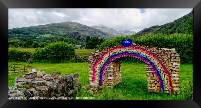 Rainbow Logs for the NHS at Beddgellert Framed Print by Liam Neon