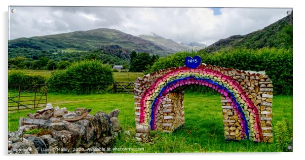Rainbow Logs for the NHS at Beddgellert Acrylic by Liam Neon