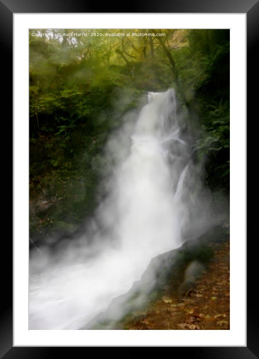 Dolgoch Falls  Framed Mounted Print by Avril Harris