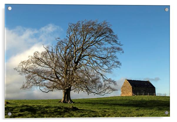 Tree & Barn Acrylic by Jenny Hibbert