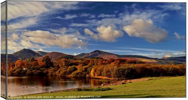"Autumn colours at Catbells" Canvas Print by ROS RIDLEY