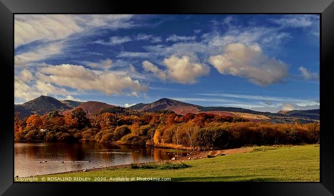 "Autumn colours at Catbells" Framed Print by ROS RIDLEY