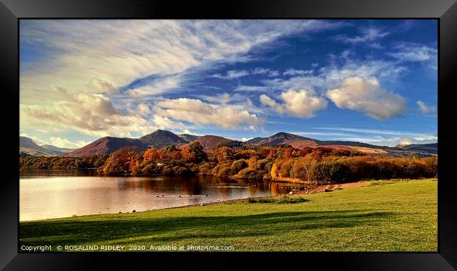 "Autumn at Catbells ridge 2 " Framed Print by ROS RIDLEY