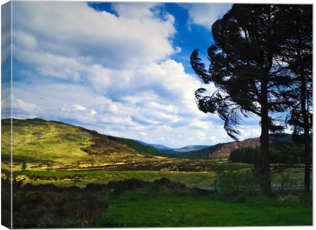 Windy Day Canvas Print by Steven Watson