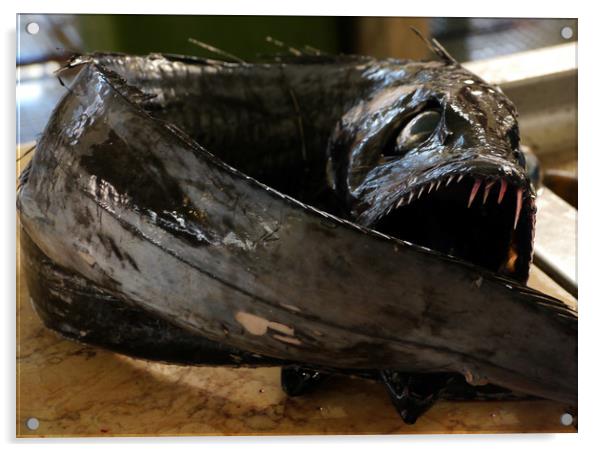 Espada Preta The Black Scabbard Fish Acrylic by Dave Williams