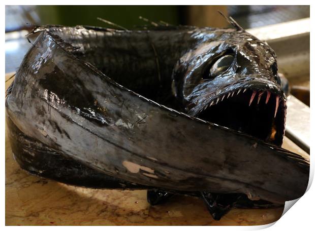 Espada Preta The Black Scabbard Fish Print by Dave Williams