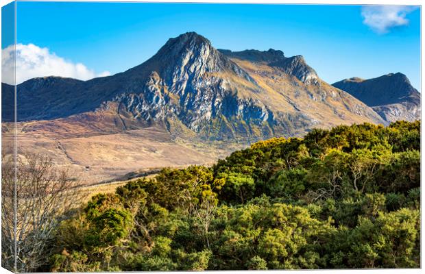 Highland Landscape Canvas Print by David Hare