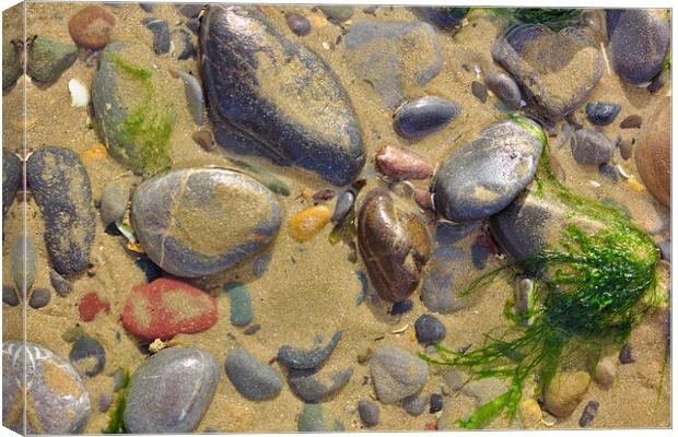 Pebbles on the Beach Canvas Print by Jeremy Hayden