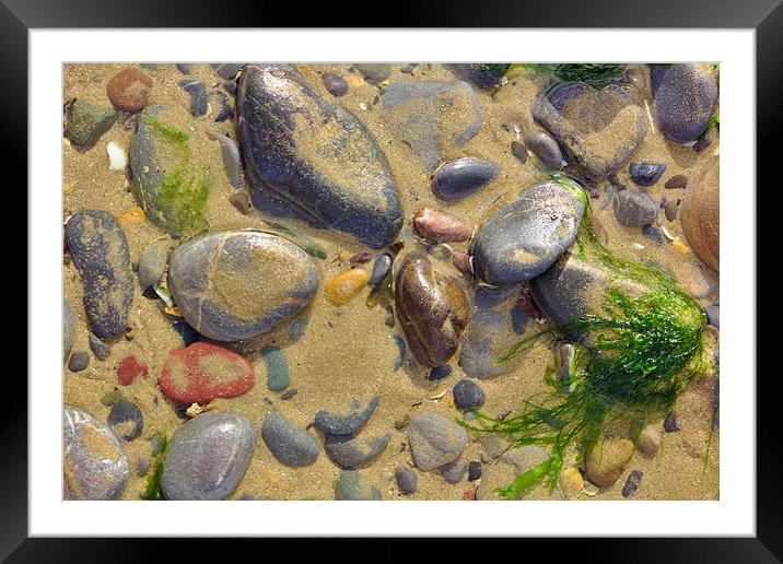 Pebbles on the Beach Framed Mounted Print by Jeremy Hayden
