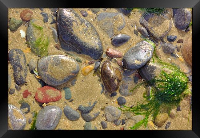 Pebbles on the Beach Framed Print by Jeremy Hayden