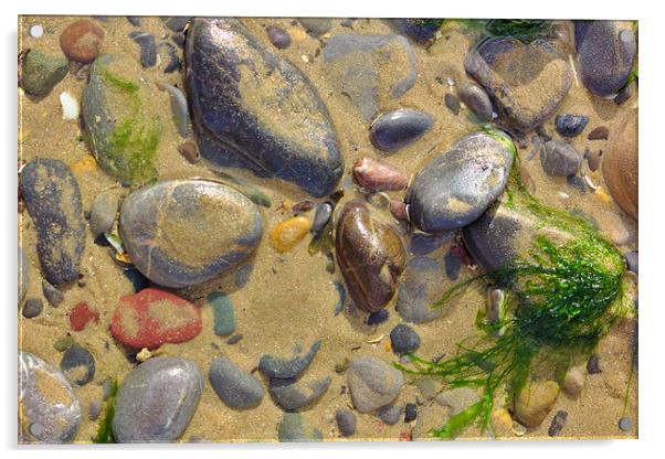 Pebbles on the Beach Acrylic by Jeremy Hayden