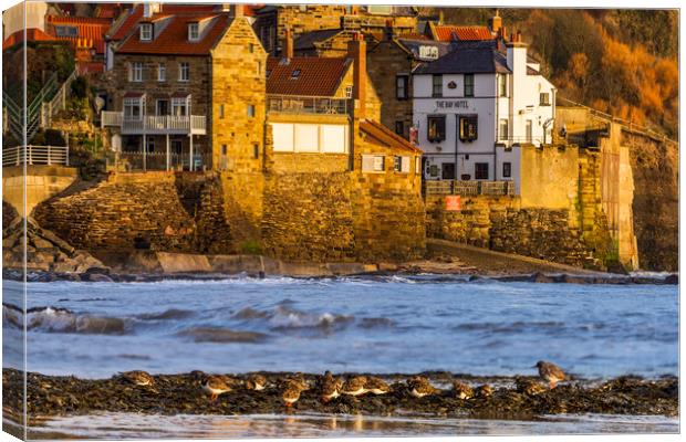 Sandpipers at Robin Hoods Bay, Whitby.  Canvas Print by John Finney