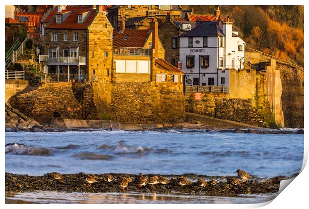 Sandpipers at Robin Hoods Bay, Whitby.  Print by John Finney