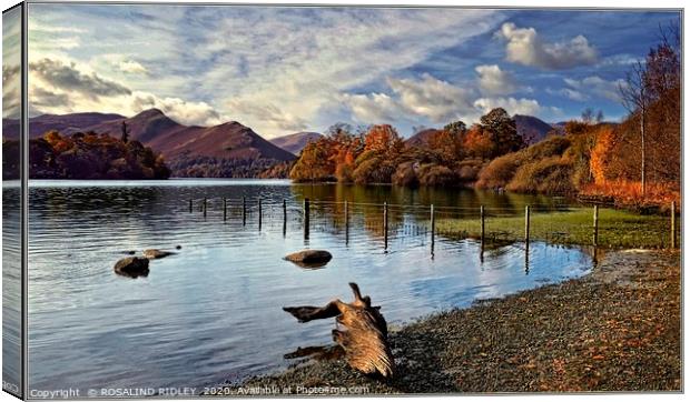 "Log by the lake 2" Canvas Print by ROS RIDLEY