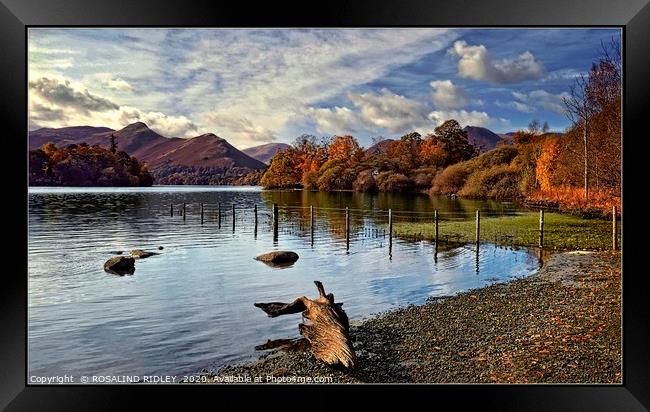 "Log by the lake 2" Framed Print by ROS RIDLEY