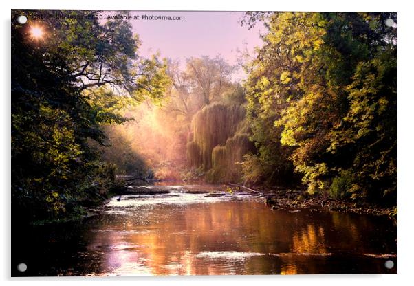 Autumn Sunshine on the River Blyth Acrylic by Jim Jones
