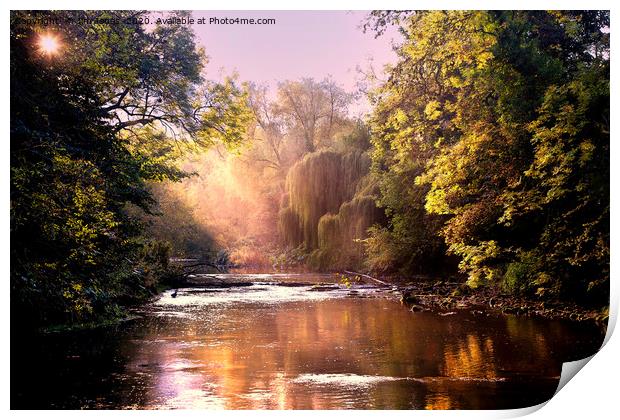 Autumn Sunshine on the River Blyth Print by Jim Jones