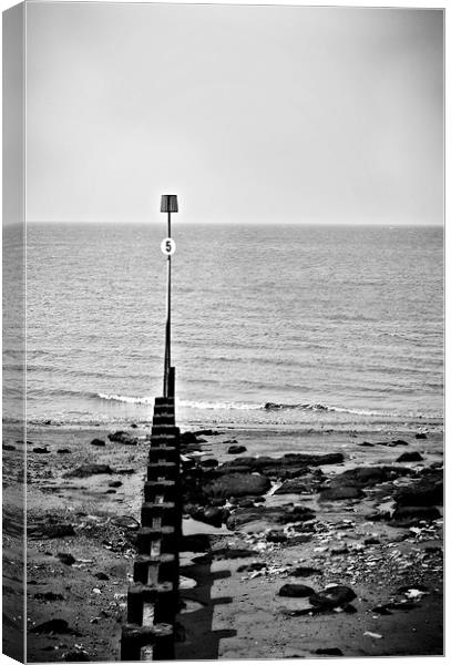 Groyne Number 5, Hunstanton in Black and White Canvas Print by Simon Gladwin