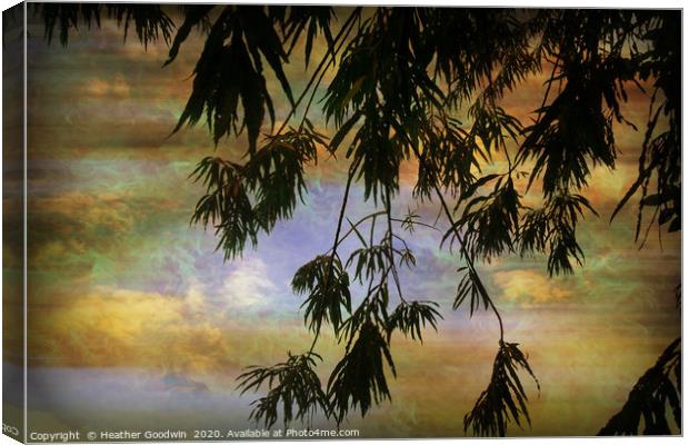 Tropical Evening Canvas Print by Heather Goodwin