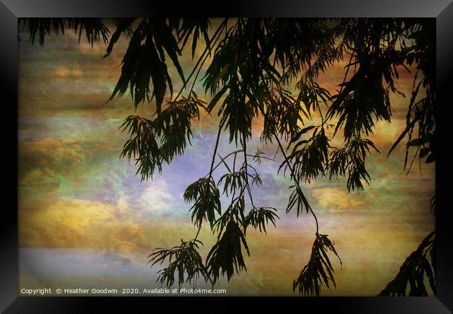 Tropical Evening Framed Print by Heather Goodwin